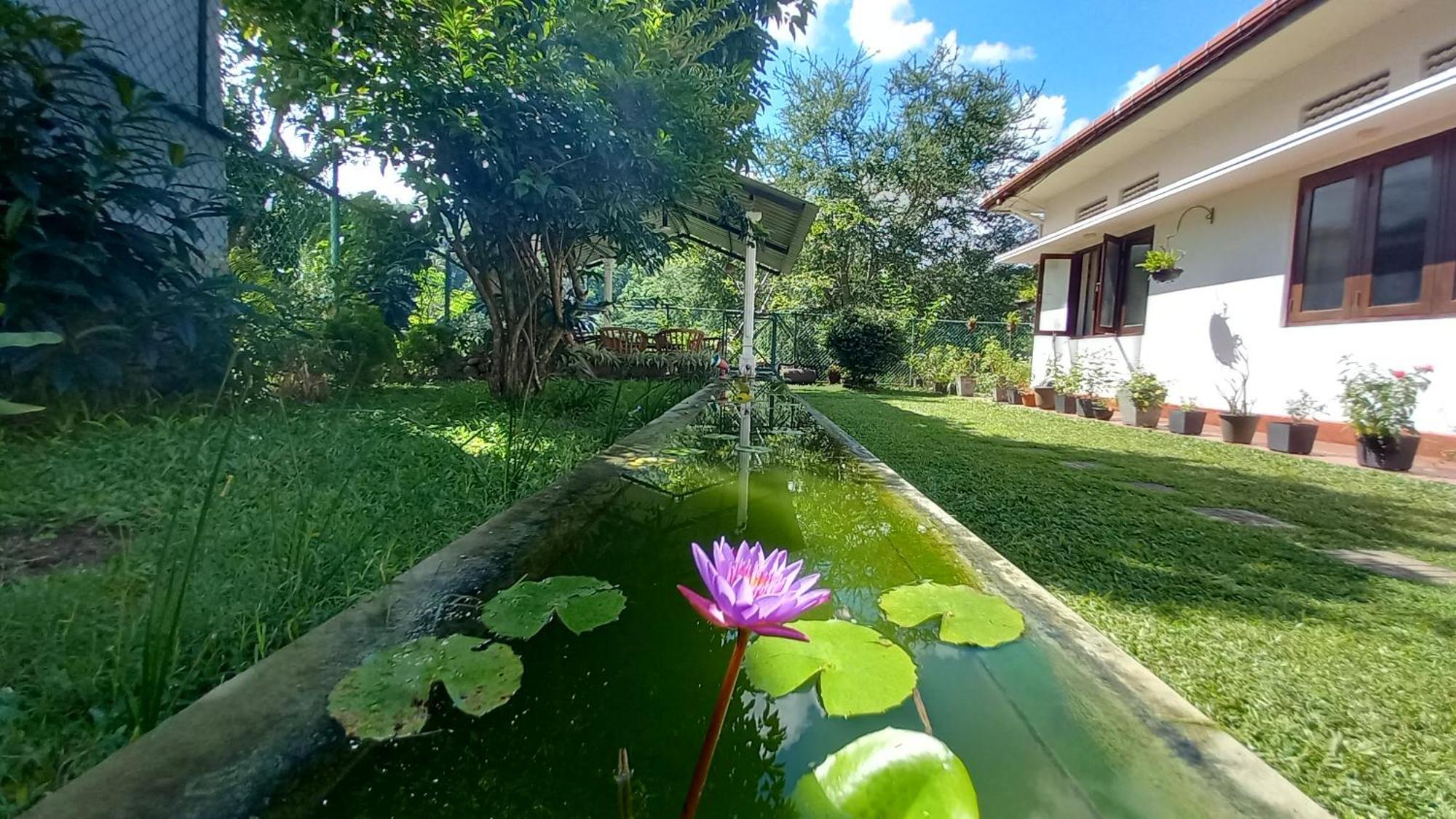 Mahaweli Shades Kandy Exterior foto