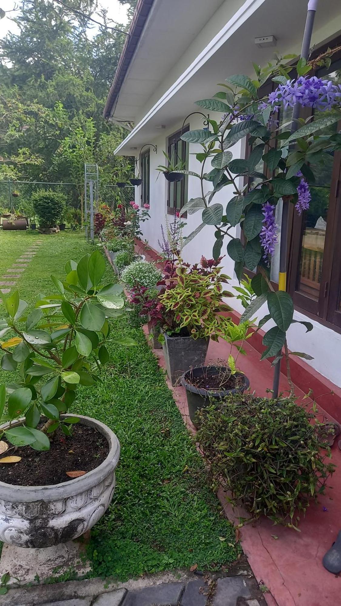Mahaweli Shades Kandy Exterior foto